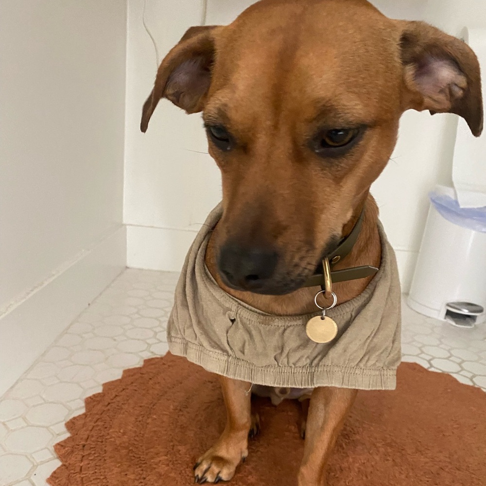 Meet your Posher, Rberto